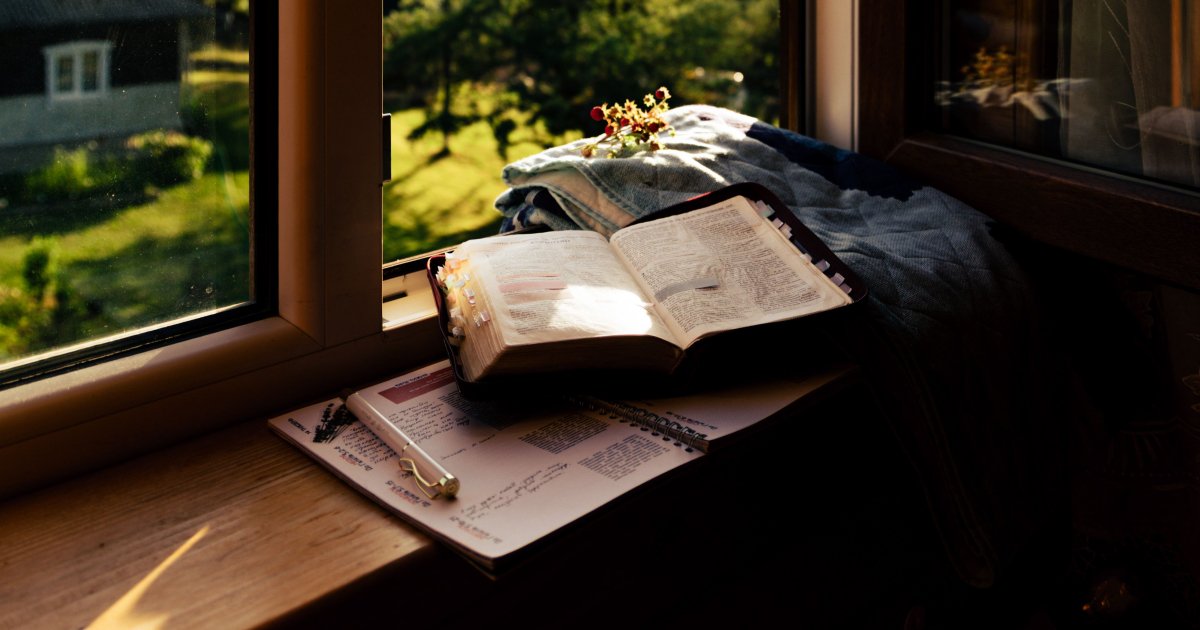 A photo of a notepad and a book both laid open on a windowsill with nature and the sun outside.